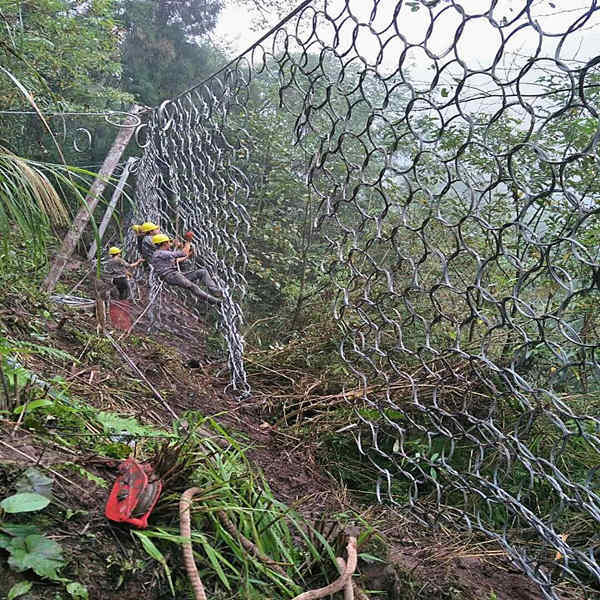 1772506458668042.jpg 84CB19B9CDD369C707069F10417C2A51_副本_副本.jpg